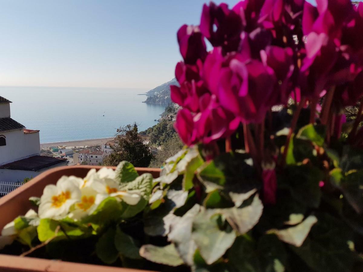 VietriRaito Amalfi Coast House别墅 外观 照片